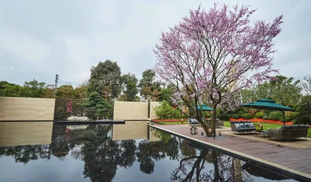 金輝項(xiàng)目效果圖（7）