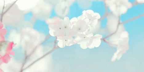 1585301750589999.png 圖片1.png