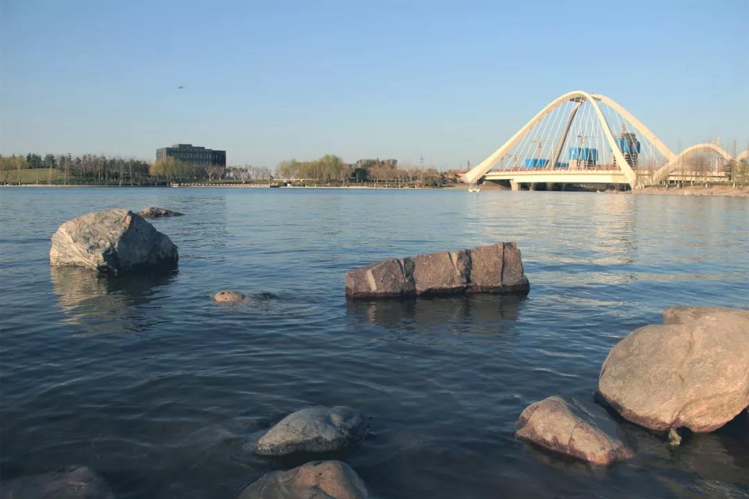 千畝生態(tài)水系實(shí)景圖