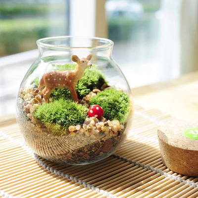 金輝優(yōu)步學(xué)府奇趣微景觀DIY示意圖