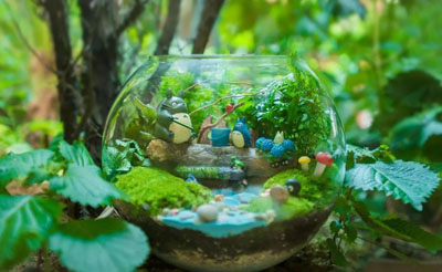 金輝優(yōu)步學(xué)府奇趣微景觀DIY示意圖